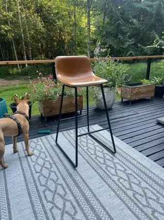 Leather bar stools
