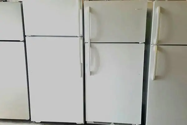 Top and Bottom Fridge Refrigerator