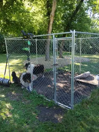 Dog pet kennel