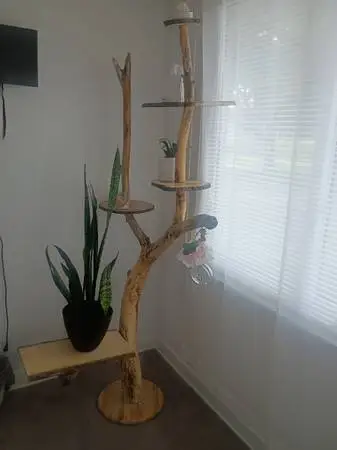 Tree stand/shelve