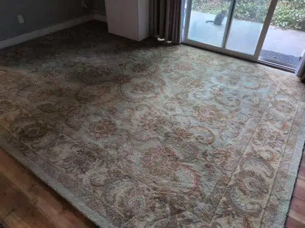 Large Persian Rug 13 6 x 9 7