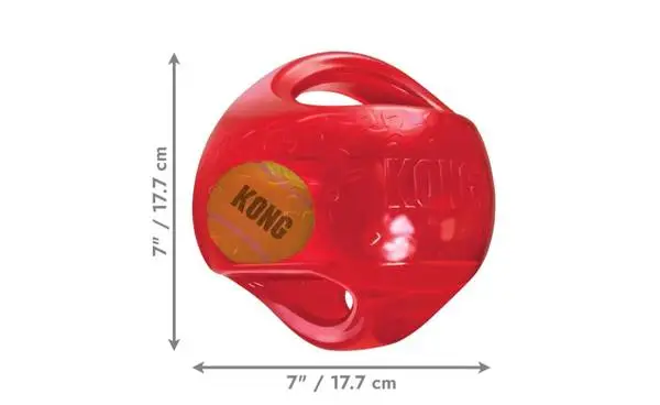 Tumbler Ball For Pets