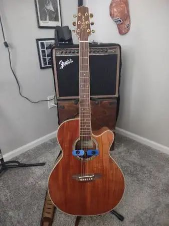 Takamine guitar