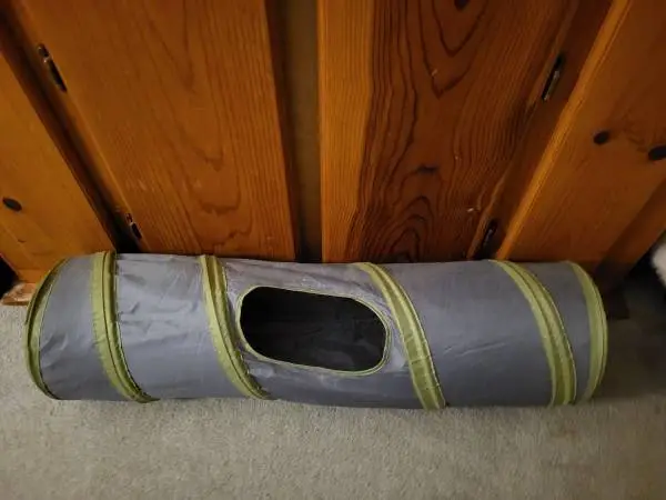 Cat Tunnel