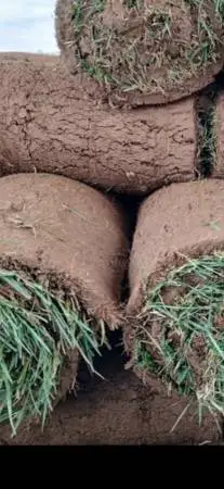 ***SOD FOR SALE  DELIVERY AND INSTALL AVAILABLE