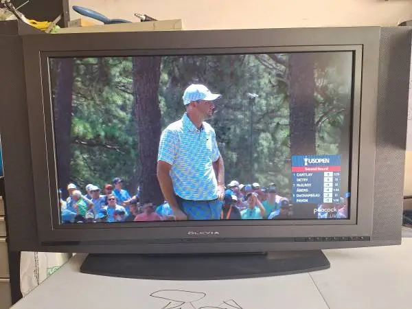 Olevia TV
