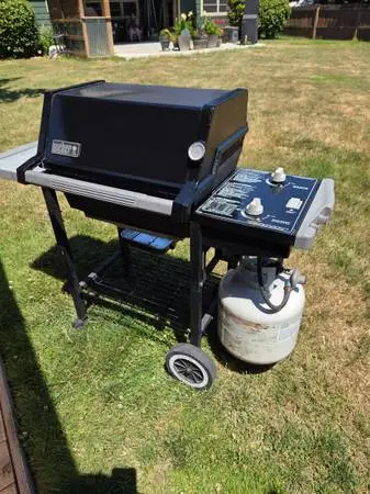 Weber silver gas bbq grill
