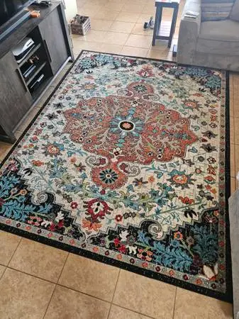 Big area rug