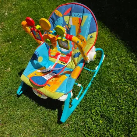 FISHER-PRICE INFANT-TO-TODDLER ROCKER
