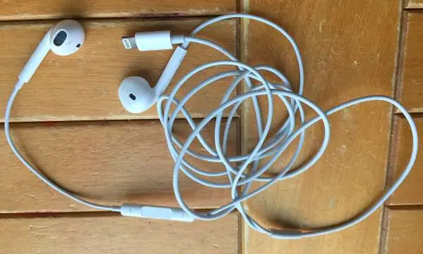 Apple Lightning Earpods Earphones Earbuds Headphones for iPhone