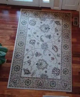 AREA RUG  5 X 7