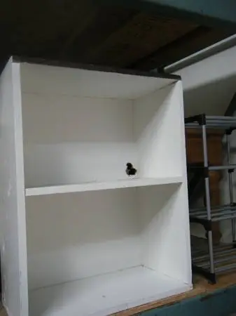 Bookshelf Or Case