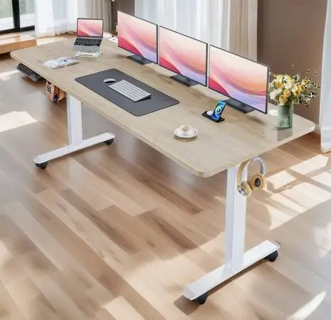 Kashif 63 Electric Height Adjustable Standing Desk