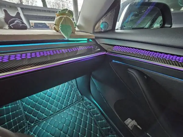 Tesla Model 3/Y Engraved Ambient Light Kit