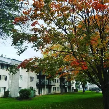 Live like you want! 😎 Sweet 1bed with in-unit laundry!
