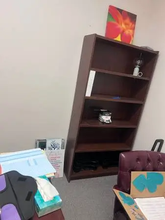 Several Office Book Shelves