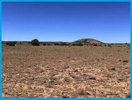 Best Deal on Land in the Area