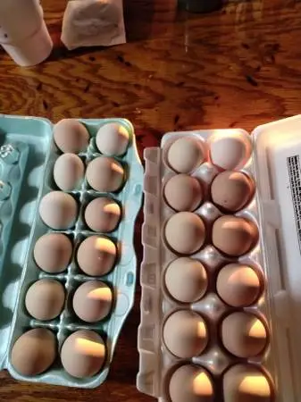 Farm Fresh Eggs