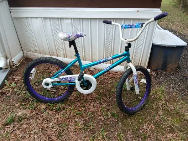 20 girl bicycle dynacraft topaz