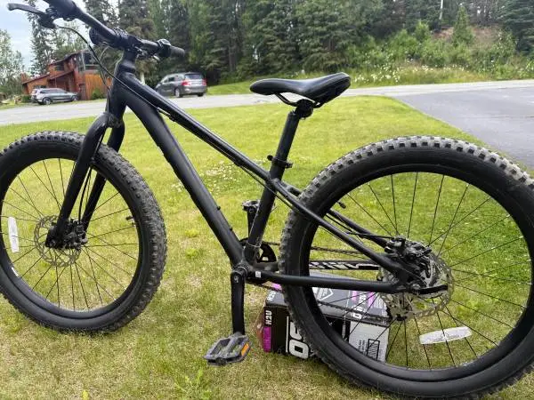 Giant STP - 24”