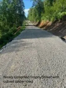 Four giant lots, side by side, Caswell Lakes Subdivision
