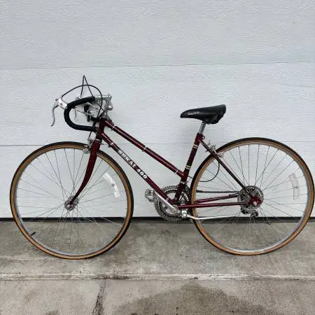 Sekai Road Bike