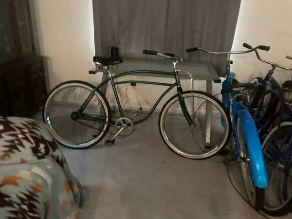 26 Vintage Savage Cruiser