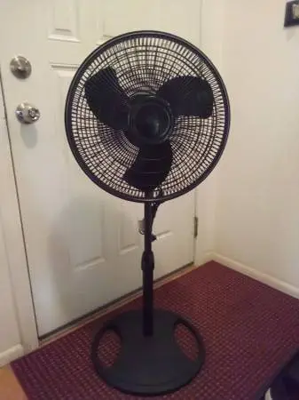 Fan