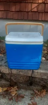 Igloo 24 quart cooler