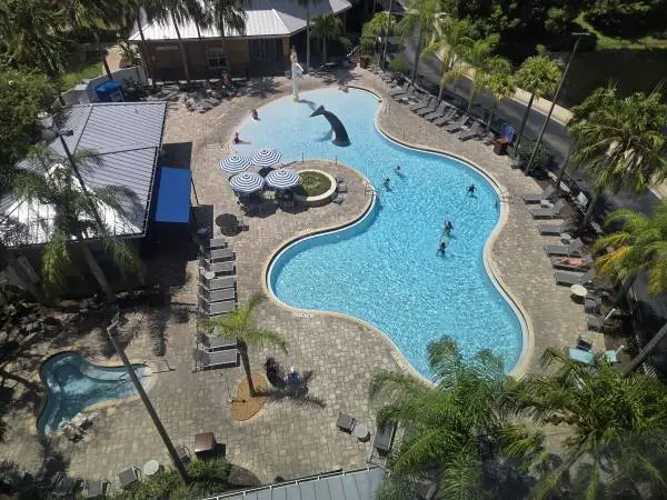 Attention Orlando Airbnb Hosts & Property Managers! 🚨