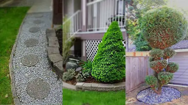 🏡🍀 Garden clean up & Landscaping; LOW RATES