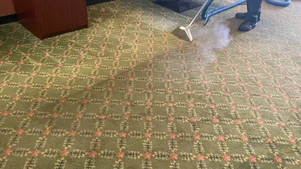 ⭐️SOFA, FLOOR, CLEANING TODAY, RUG, CARPET, TILE, HARDWOOD