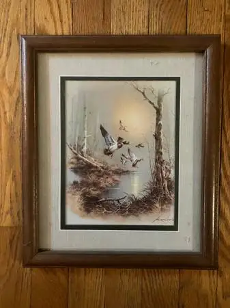 Framed Duck Print by Andres Capinas