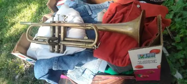 Bundy Selmer trumpet