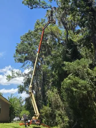 Reliable Tree Service