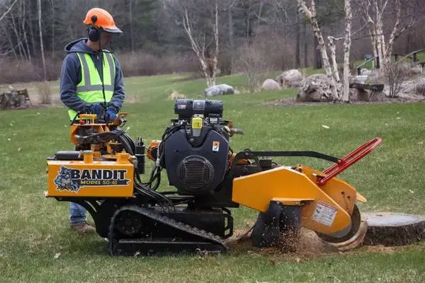 STUMP REMOVAL SERVICE/EXCAVATOR SERVICE