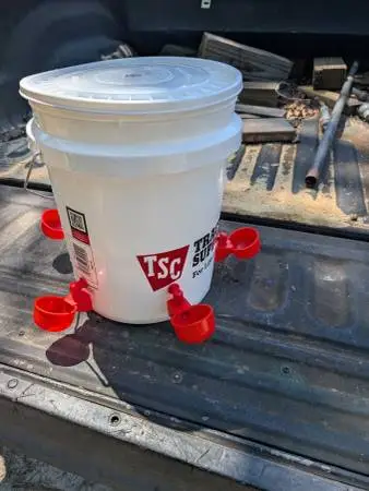 chicken waterer