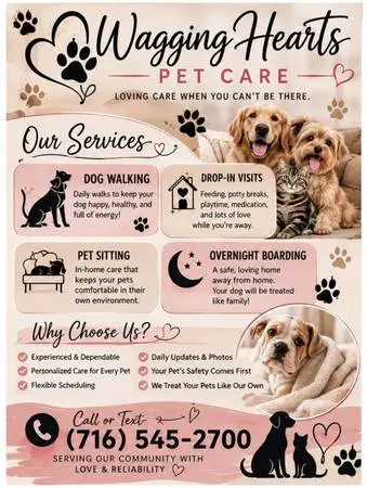 Dog walker dog boarding