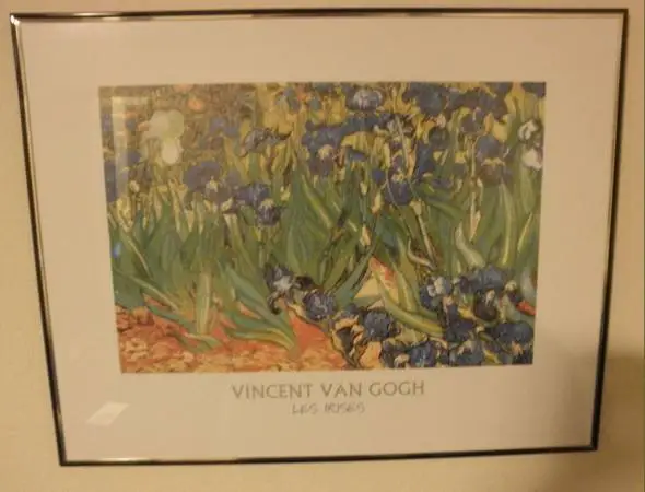 Van Gough Les Irises framed print