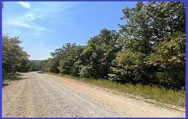 Amazing Lot 0.31 Acres in Izard County