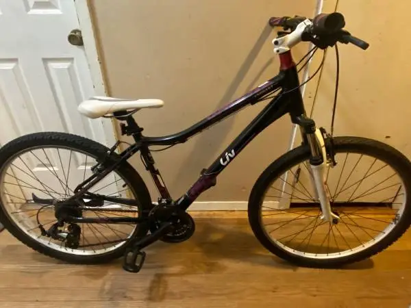 21 Speed GIANT LIV ENCHANT Mountain Bike 16 inch frame Practically New