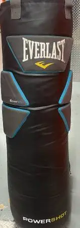 Everlast power shot punching bag