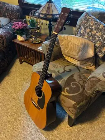 1969 Martin D-18