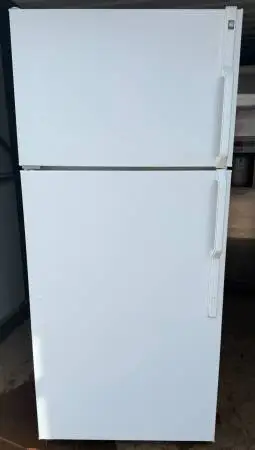Clean & Tested GE 16 cu ft Top-Freezer Refrigerator White — $200