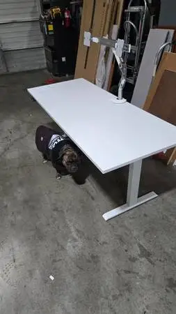 Sit-to-Stand Desk – Electric Height Adjustable