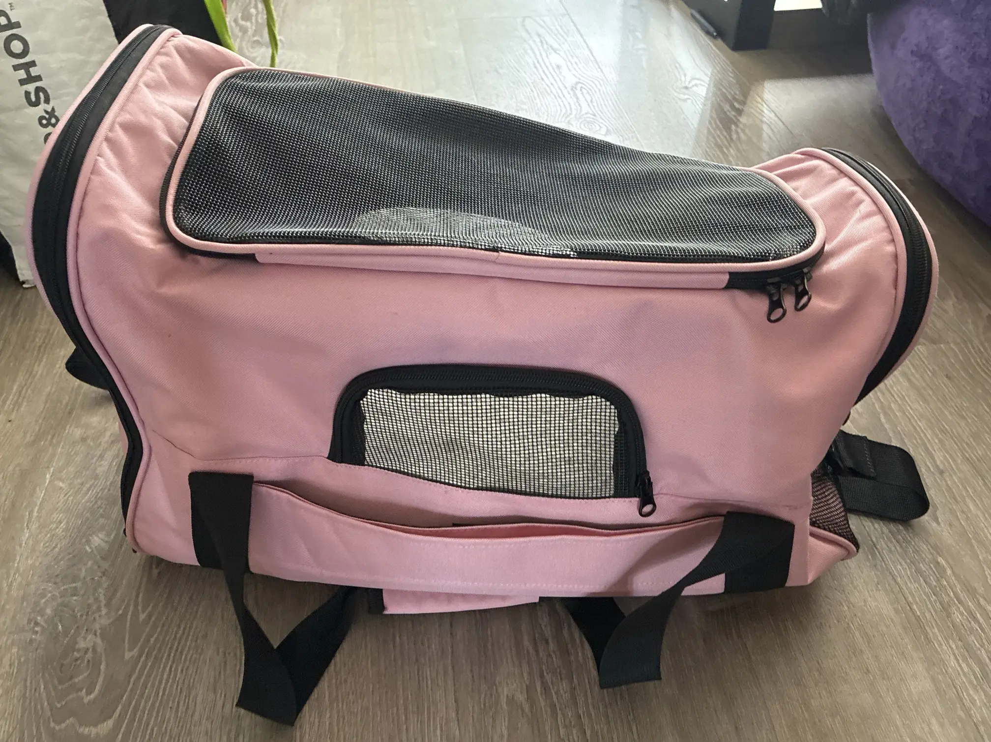 TSA Approved Cat Carrier—barely used