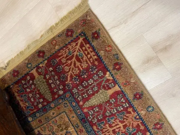 Expensive wool rug