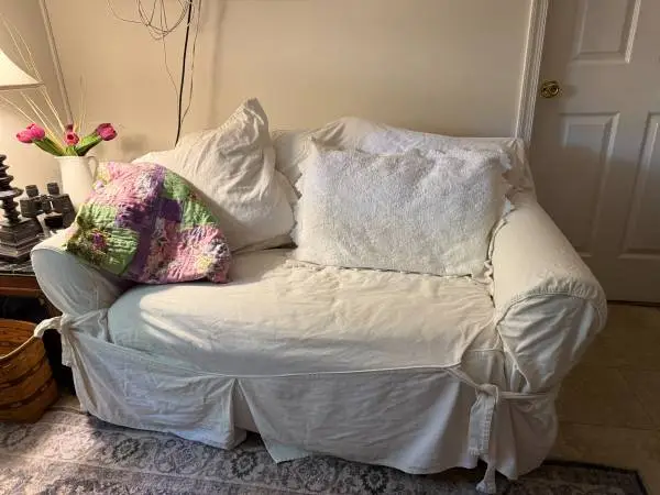 LOVESEAT TWIN SOFABED