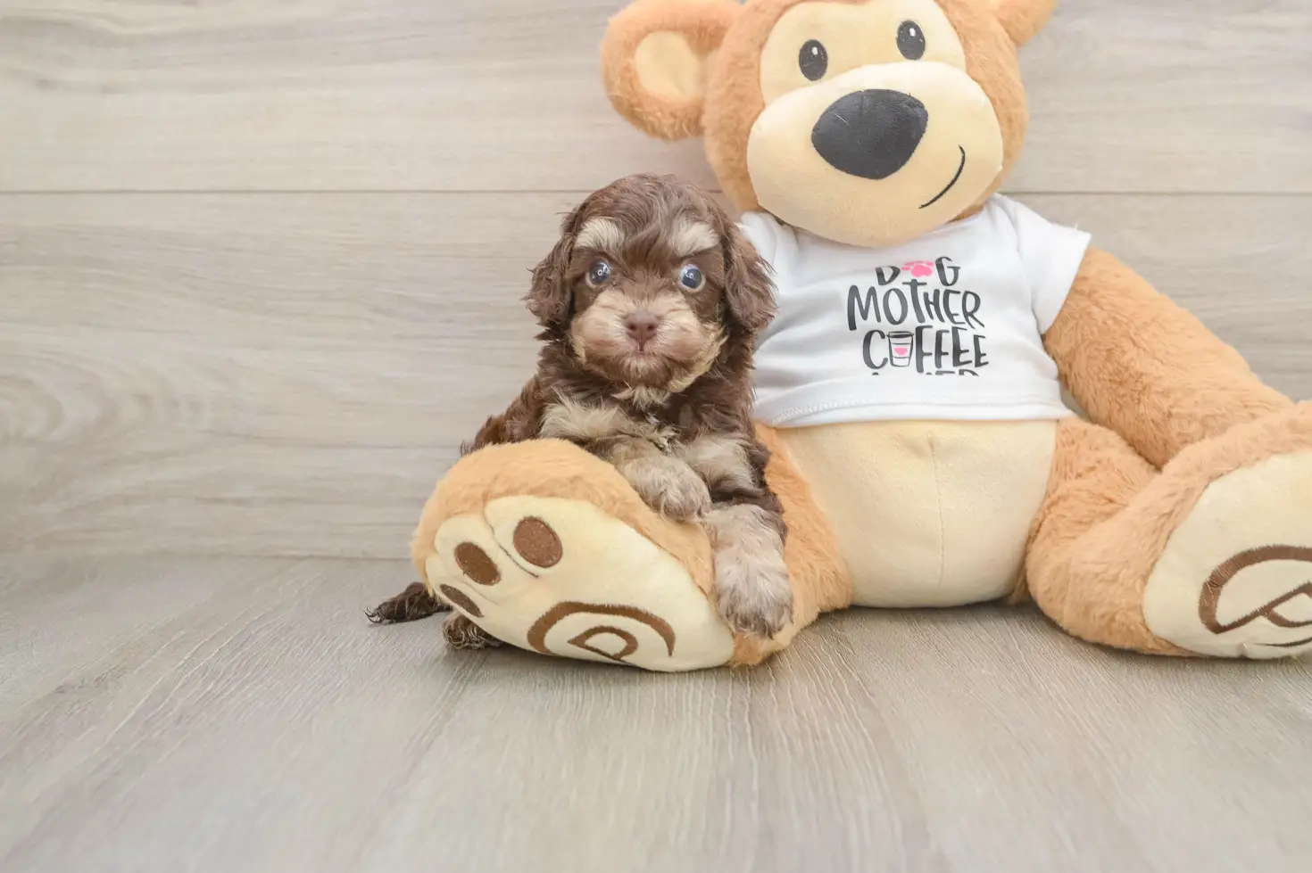 Build-A-Bear "Dog Mother Coffee Lover" T-Shirt for Stuffed Animals