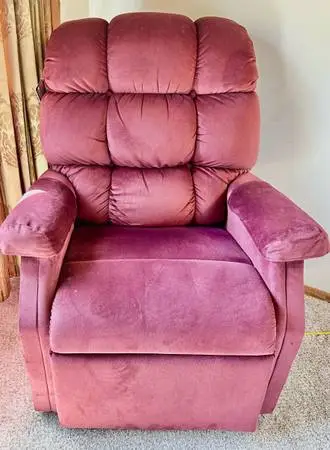 Brand New Electric Power Lift Recliner Sofa TV Couch Chair GOLDEN